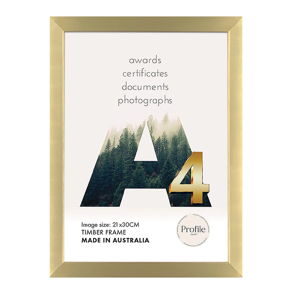 Modern Certificate Frame - Gold