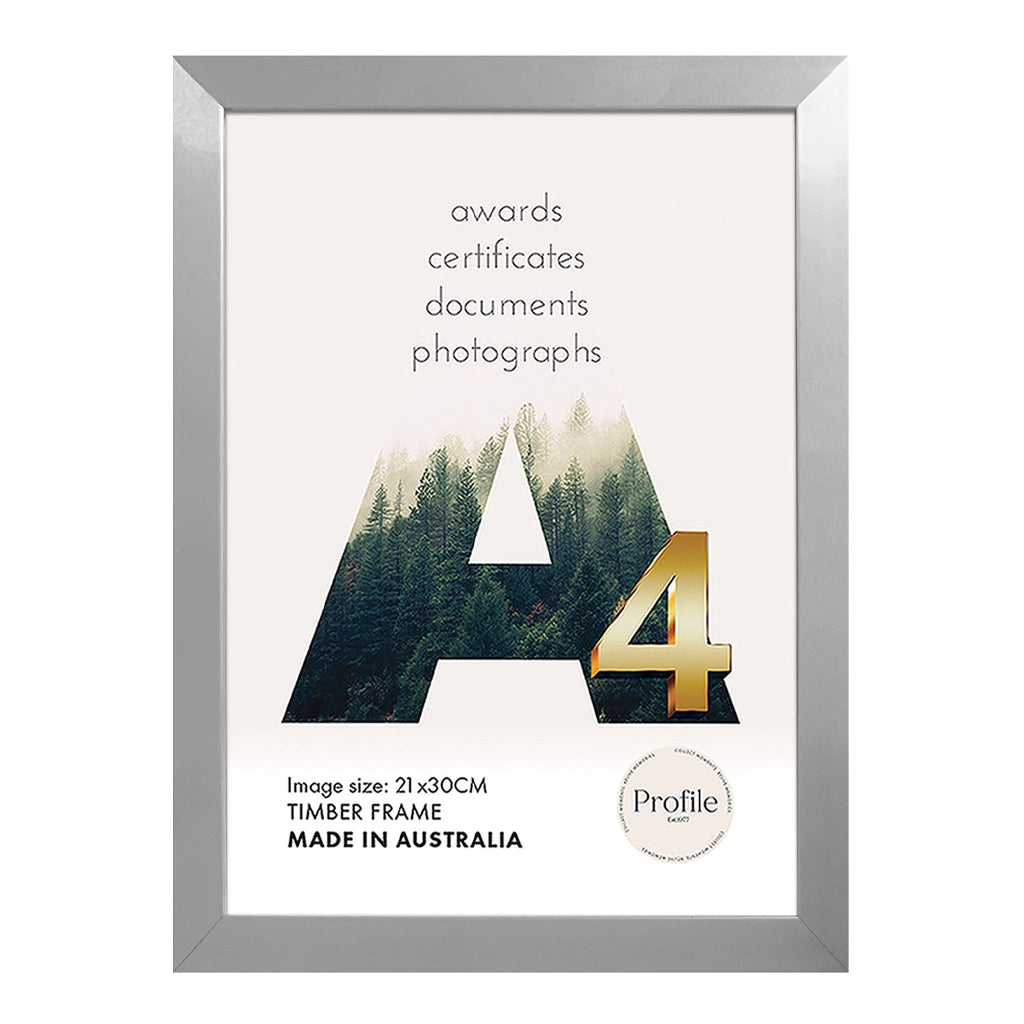Modern Certificate Frame - Silver